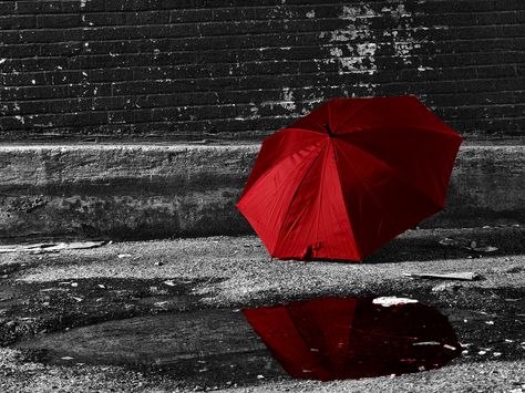 Red Umbrella | by IM2_OCD Red Brolly, Color Splash Photography, Red Photography, Red Rose Bouquet, Red Umbrella, Red Walls, Cool Landscapes, Dancing In The Rain, Bathroom Art