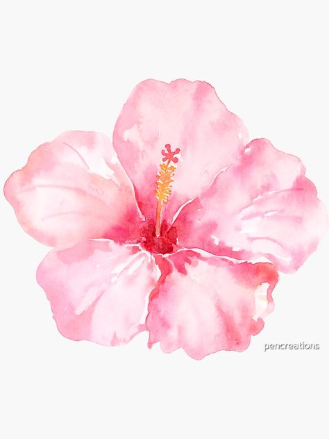 Deskop Wallper, Green And Pink Prints, Watercolor Flowers Easy, Watercolor Turtles, Hibiscus Drawing, Gcse Sketchbook, Starfish Painting, Plumeria Tattoo, Hibiscus Flower Tattoos