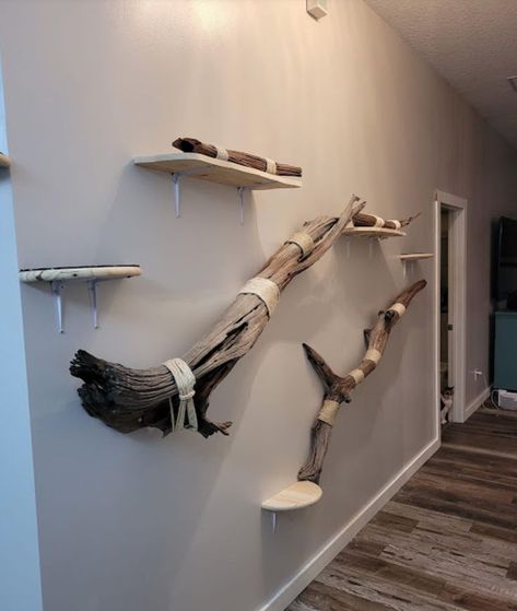 Someone came up with a clever and attractive idea for some awesome cat tiers/sheves using driftwood. Cat Trees Homemade, Cat Climbing Wall, Cat Shelf, Cat Patio, Diy Cat Tree, Cat Wall Furniture, Cat House Diy, Cats Diy Projects, Cat Playground