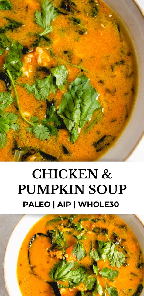 This Slow Cooker Chicken and Pumpkin Soup is a hearty, rich, creamy and delicious dish. Made using fresh pumpkin, ground chicken, fresh basil and cilantro, it's AIP, paleo, flavor packed and sure to please! #healmedelicious #aip #aiprecipes #paleo #paleorecipes #whole30 #whole30recipes #autoimmunedisease #aipdiet #autoimmunepaleo #aipprotocol #fallrecipes #dinnerideas #fallsoups #soup #souprecipes #easydinnerrecipes #chickenrecipes #crockpotrecipes #pumpkinrecipes Paleo Slow Cooker Soup, Aip Cabbage Soup, Aip Pumpkin Soup Recipes, Whole 30 Mushroom Soup, Paleo Crockpot Soup, Paleo Pumpkin Soup, Aip Chicken Soup Recipes, Easy Paleo Soup, Aip Pumpkin Soup