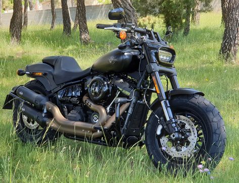 Harley Davidson Fat bob fxfb Harley Fat Bob, Harley Davidson Fat Bob, Learn Computer Science, Learn Computer, Fat Bob, Bike Rider, Sepeda Motor, Computer Science, Cars And Motorcycles