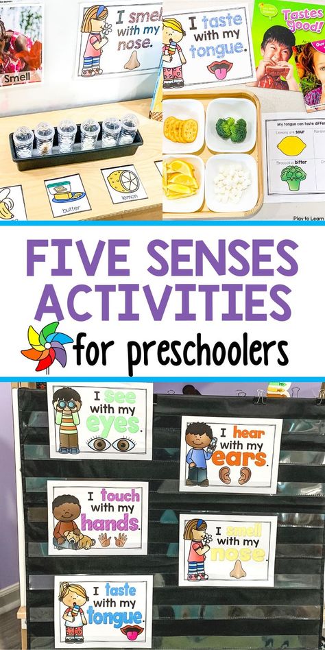 Five Senses Activities For Preschoolers, 5 Senses Activities For Preschoolers, Five Senses Activities, 5 Senses Preschool, Science Center Preschool, Five Senses Preschool, 5 Senses Activities, Centers For Preschool, Taste Sense