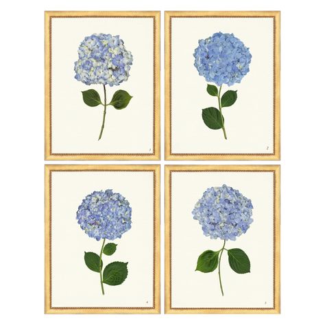 Art – Society Social Hydrangea Picture, Pressed Hydrangea, Linen Background, Hydrangea Print, Society Social, Hydrangea Not Blooming, Art Society, Blue Hydrangea, Delicate Details