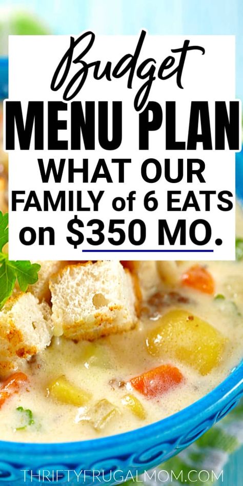 Month Budget, Easy Recipe Ideas, Cheap Meal Plans, Frugal Meal Planning, Aldi Meal Plan, Cheap Family Meals, Meal Planning Menus, Large Family Meals, Frugal Mom