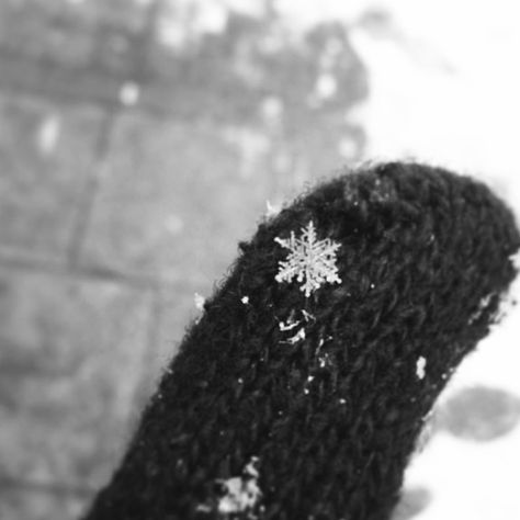 Real snowflake that landed on my glove today!!!! #snowflake Snowflake Real, Real Snowflakes, Snowflakes Real, God Artwork, Winter Vibes, Lovely Things, Boho Bedroom, Winter Christmas, Winter Wonderland