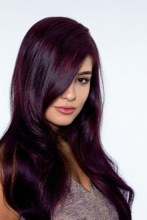 Intense Violet Hair Color, Violet Burgundy Hair, Hair Streaks For Black Hair, Black Violet Hair, Deep Plum Hair Color, Dark Brown Purple Hair, Blackberry Hair Color Dark, Eggplant Hair Color, Midnight Purple Hair