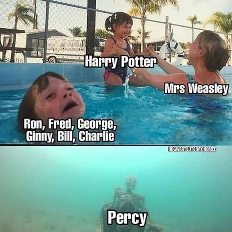 Memes Harry Potter, Citate Harry Potter, Glume Harry Potter, Potter Wallpaper, Funny Harry Potter Jokes, Potter Head, Harry Potter Memes Hilarious, Harry Potter Feels, Harry Potter Puns