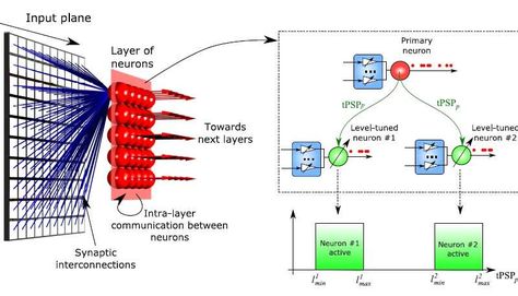 Neuromorphic Computing, Membrane Potential, Electron Transport Chain, Medical Tech, Faster Than Light, Technology Posters, Artificial Neural Network, Pattern Recognition, Science Chemistry