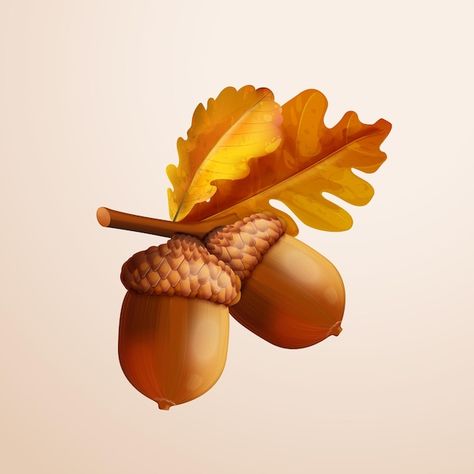 Vector 3d acorn realistic oak nut with l... | Premium Vector #Freepik #vector #oak #fall #acorn #realistic-tree Nature Background, Free Business Card Mockup, Autumn Nature, Fall Leaf, Background Decoration, Event Food, Business Card Maker, Flyer Maker, Poster Maker