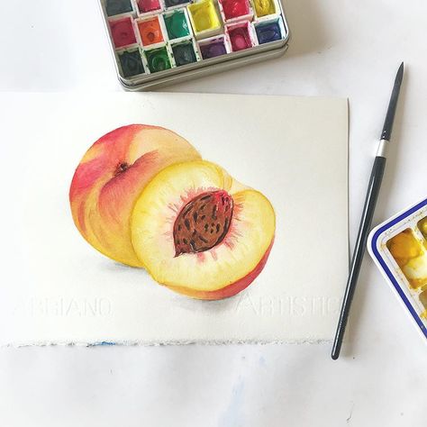 Nectarines in watercolors #watercolorpainting #foodillustration #foodillustrator #theydrawandcook Watercolor Painting Techniques, Illustration Food, Nectarine, Editorial Illustration, Food Illustrations, Surface Pattern, Painting Techniques, Packaging Design, Watercolor Paintings