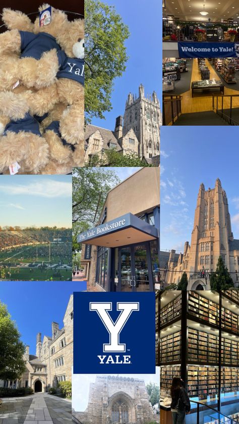 Yale Volleyball, Senior Highschool, Yale College, Yale Law, University Inspiration, Yale Law School, American University, Studying Law, Dream College