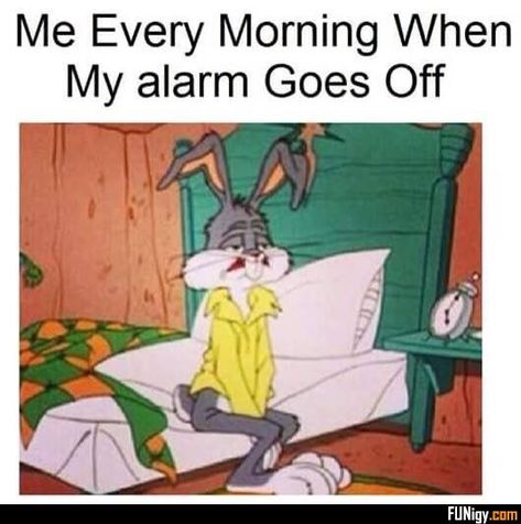 good morning wishes- memes- funny Funny Good Morning Quotes, Looney Tunes Cartoons, Memes Humor, Gym Humor, Old Cartoons, Bugs Bunny, Classic Cartoons, Vintage Cartoon, A Cartoon