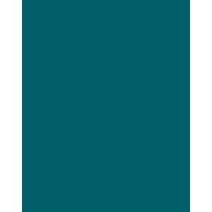 This is the color of my bedroom, its called Peacock Blue by Glidden. It looks pretty the color shifts depending on the lighting. Peacock Green Colour, Peacock Decor, Colour Painting, Painted Front Doors, Peacock Color, Color Palate, Spare Bedroom, My Bedroom, Home Office Setup