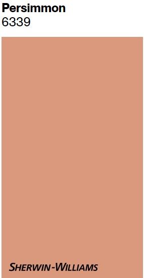 SHERWIN WILLIAMS PERSIMMON: 2024 Color of the Year - Kylie M Interiors Sw Persimmon Paint, Sw Persimmon, Persimmon Bathroom, Persimmon Paint Color Sherwin Williams, Persimmon Wall Color, Persimmon Paint Color, Persimmon Sherwin Williams, Orange Wall Color, Persimmon Color Palette