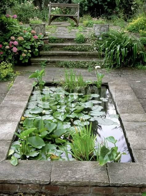 100 Backyard Pond Ideas to Inspire Your Garden Transformation Backyard Pond Ideas, Tanaman Air, Garden Transformation, Spray Park, Garden Water Features, Backyard Pond, Small Pond, Garden Ponds, Pond Landscaping