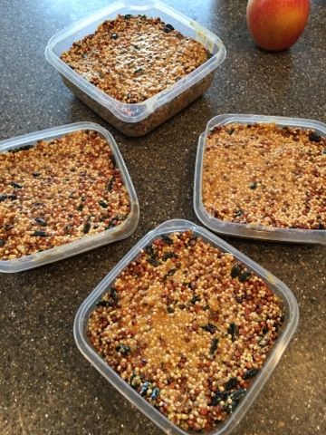 Bacon Grease Bird Suet, Bird Seed Crafts, Suet Recipe, Backyard Birds Feeders, Backyard Birds Sanctuary, Suet Bird Feeder, Bird Suet, Suet Cakes, Bird Feeder Craft