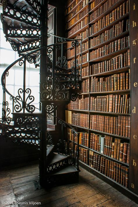 Books & Spirals - II | The Long Room - Trinity College Old Library, Dublin Home Library Aesthetic, University Aesthetic, Lots Of Books, Old Libraries, Long Room, Mind Palace, Dream Library, Beautiful Library, Old Library