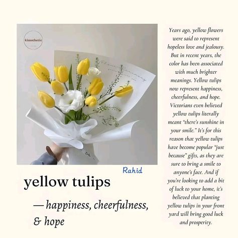 Yellow Tulips Meaning, Amna Core, Tulip Meaning, Tulips Quotes, Plant Symbolism, Tulips Meaning, Luxury Flower Bouquets, Yellow Plants, Peonies And Hydrangeas