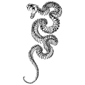 Snake Line Art Tattoo Monochrome, Snake Drawing, Snake Sketch, Snake Tattoo PNG and Vector with Transparent Background for Free Download Viper Snake Tattoo Design, Hooded Reaper Tattoo, Boa Constrictor Tattoo, Boa Snake Tattoo, Snake Skeleton Drawing, Big Snake Tattoo, Basilisk Tattoo, Tattoo Patterns Design, Viper Drawing