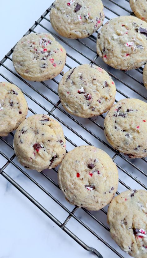 Peppermint Bark Cookies (Crisp & Chewy!) - Kathleen Ashmore Peppermint Bark Sugar Cookies, Peppermint Bark Cookies Recipe, Peppermint Chip Cookies, Red Velvet Cake Cookies, Peppermint Bark Cookies, Kathleen Ashmore, Peppermint Cookie, Peppermint Bark Cookie, Peppermint Crisp