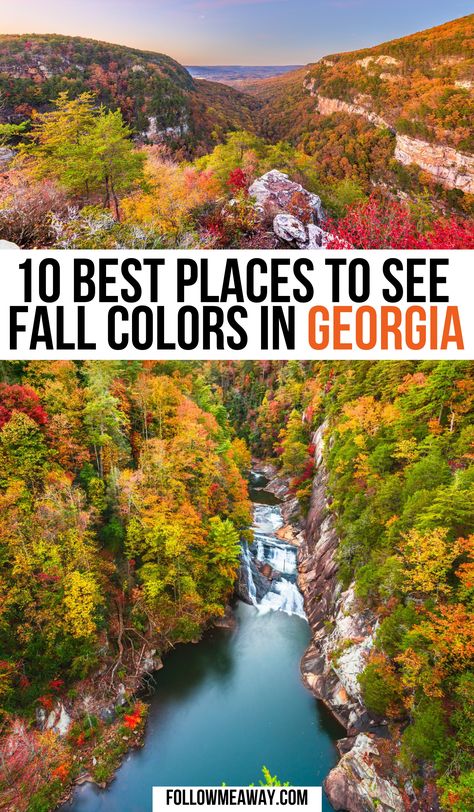 10 Best Places To See Fall Foliage In Georgia | fall in georgia | georgia fall | helen georgia fall | blue ridge georgia fall | atlanta georgia things to do in fall | things to do in fall in georgia | things to do in georgia in the fall | fall foliage in georgia | georiga fall foliage | north georgia fall foliage | #fallingeorgia #georgiatrave Georgia Fall Bucket List, Georgia Fall Foliage, Helen Georgia Fall, Fall In Atlanta, Georgia In The Fall, Fall In Georgia, Blue Ridge Georgia Fall, Georgia Mountains Places To Visit, Lumpkin Georgia