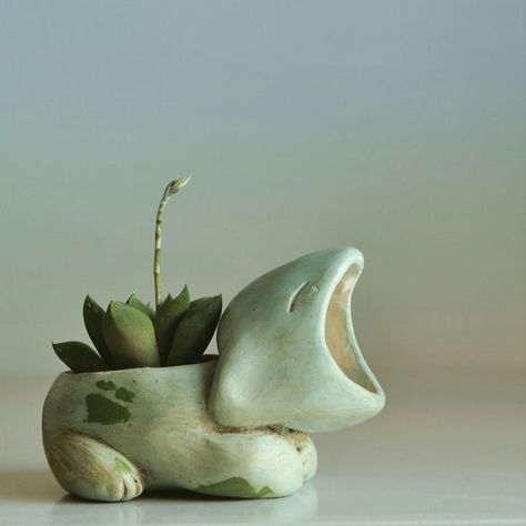 Cute Pots, Pokemon Bulbasaur, Modern Planter, Origami Patterns, Mini Cactus, Growing Succulents, Succulents Indoor, Home Decor Modern, Small Potted Plants