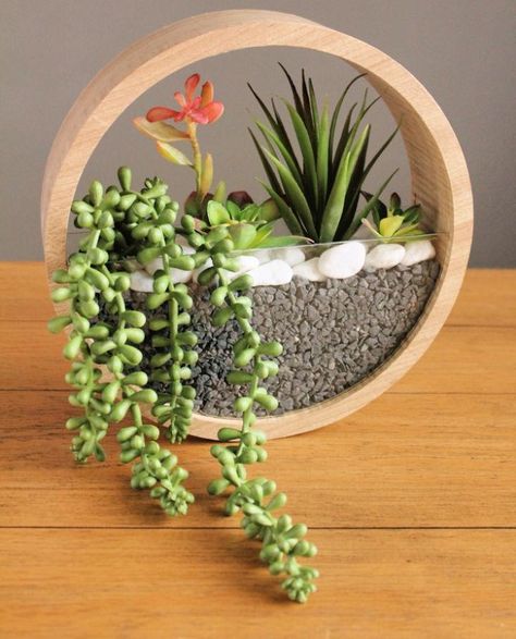 30 DIY Hanging Planter Ideas to Hang Plants Indoor or Outdoor Indoor Plant Wall, Wall Planters Indoor, Diy Hanging Planter, Wall Plant Hanger, Hanging Herbs, Wood Table Diy, Diy Garden Fountains, Hanging Plant Wall, Garden Ideas Cheap