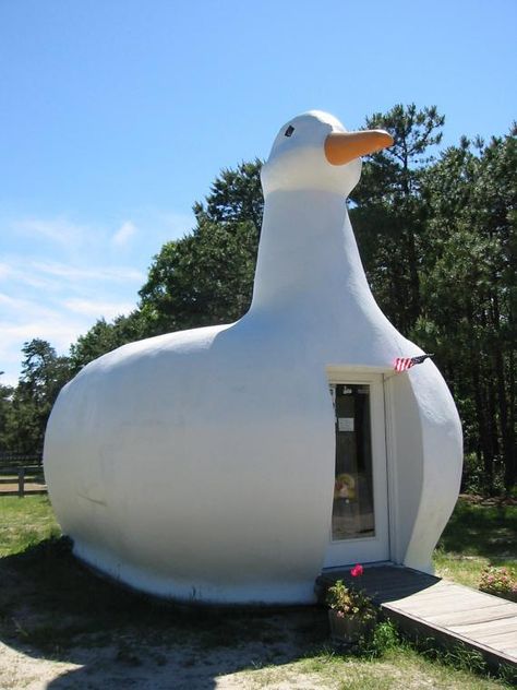 Big Duck  A former poultry store that looks like a giant duck and is one of the "seven wonders" of Long Island Big Duck, Crazy Houses, Hampton Bays, Unusual Buildings, Unusual Home, Unusual Homes, Interesting Buildings, Unique Buildings, Structure Architecture