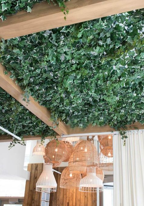 Ema restaurant  - ivy ceiling and basket lighting Ceiling Garden Ideas, Fake Greenery Ceiling, Faux Greenery Ceiling, Faux Boxwood Ceiling, Ivy Kitchen Decor, Plants Ceiling, Leaf Ceiling, Foliage Ceiling, Fake Plant Ceiling