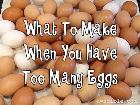 Too Many Eggs, Freezing Eggs, Eggs Recipes, Hard Cooked Eggs, Clam Recipes, Farm Eggs, Fresh Chicken, Farm Fresh Eggs, Food Saver