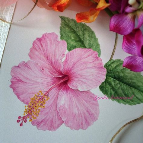 Kyoko on Instagram: “#hibiscus #botanicalart #watercolor #watercolorpainting #ハイビスカス” Hibiscus Drawing, Impressionist Flowers, Doodle Art Flowers, Blue Lotus Flower, Tropical Painting, Flower Art Drawing, Bohemian Wall, Watercolor Flower Art, Botanical Watercolor