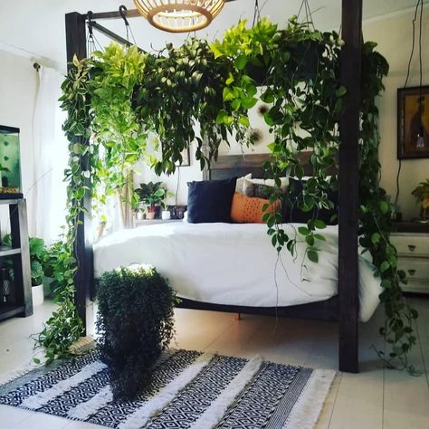 Plants Growing, Bed Design Modern, Bedroom Plants, Canopy Bed, Room Inspiration Bedroom, Room Ideas Bedroom, Modern Bed, Boho Bedroom, Dream Bedroom