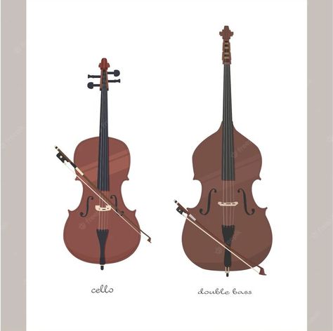 Double Bass Drawing, Double Bass Aesthetic, Double Bass Art, Double Bass Player, Music Vector, Guitar Notes, Double Bass, Bass Player, Round Table