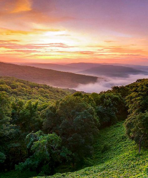 Missouri Ozark Mountains Hillside Sunrise Things To Do In Arkansas, Ozarks Missouri, Arkansas Travel, Columbia Missouri, Ozark Mountains, Family Vacation Destinations, All I Ever Wanted, Hand Luggage, Home Inspiration