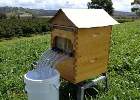 The Flow Hive, set for a Kickstarter crowdfunding debut, introduces a simple new way to harvest honey from a backyard beehive without stressing the bees or the beekeeper. - Page 1 Backyard Beehive, Flow Hive, Beehive Design, Raising Bees, Bee Pictures, Honey Bee Hives, Bee Boxes, Bee Farm, Bee Keeper