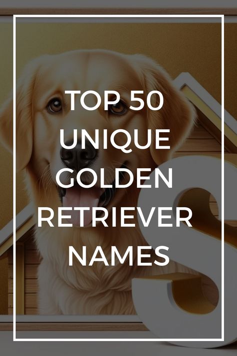 Golden Retriever Puppy Names Female, Cute Golden Retriever Puppy Names, Female Golden Retriever Names, Golden Retriever Girl Names, Cute Golden Retriever Names, Golden Retriever Names Male, Dog Names Golden Retriever, Golden Retriever Puppy Names, Golden Retriever Dog Names