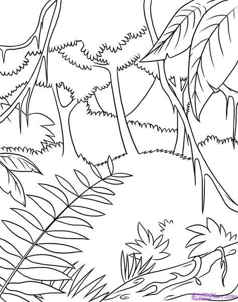 Rainforest Pictures, Polar Bear Coloring Page, Jungle Coloring Pages, Leaves Coloring, Jungle Drawing, Forest Coloring Pages, Rainforest Plants, Forest Drawing, Jungle Scene