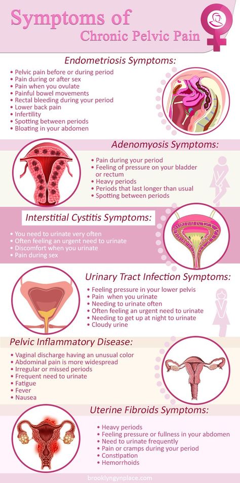 Chronic pelvic pain is pain below the belly button and between the hips that lasts for six months and more. This type of disorder can have multiple causes, or it can be a symptom of another disease. Pain in the pelvis can be caused by another health condition. If this is the case, treating that disorder might be enough for the pelvic pain to disappear. However, specialists put an emphasis on the fact that it might be impossible to identify the root cause of chronic pelvic pain. Green Tea Benefits Health, Fibroid Diet, Testosterone Hormone, How To Become Happy, Nursing School Essential, Pregnancy Guide, Women Health Care, Medical School Essentials, Period Pain