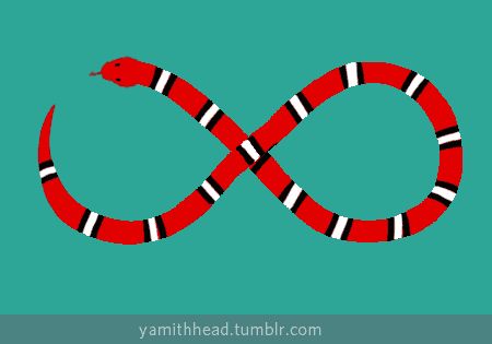 tumblr_lsnvcescvV1r2ex7no1_r1_500.gif (450×315) Snake Animation, Snake Gif, Loop Gif, Snake Illustration, Share Gif, Color Vibe, Animation Video, Cover Art Design, Reptiles And Amphibians