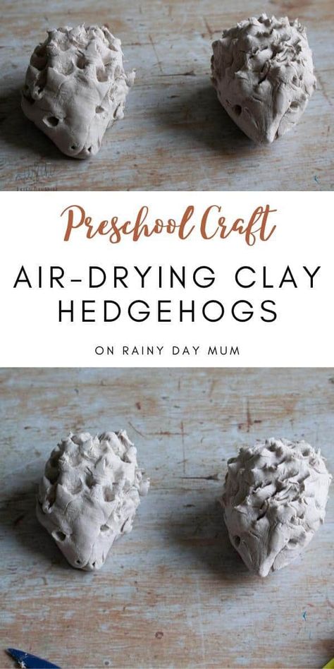 Practice scissor skills with this simple winter animal or hibernation craft for toddlers and preschoolers to make air-drying clay hedgehogs. #scissorskills #airdryingclay #preschoolcraft #toddlercraft #rainydaymum #rainydaytots Hibernation Crafts, Winter Animal Crafts, Clay Projects For Kids, Craft For Preschoolers, Hedgehog Craft, Clay Crafts For Kids, Homemade Clay, Kids Clay, Scissor Skills