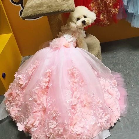 Dog Fashion Clothes, Dog Wedding Attire, Dog Wedding Dress, Dog Tuxedo, Dog Clothes Diy, Puppy Dress, Pretty Quinceanera Dresses, Fancy Dog, Small Dog Clothes