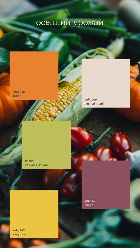 Healthy Color Palette, Food Colors Palette, Healthy Food Branding, Blog Branding Kit, Healthy Colors, Vegetable Harvest, Food Branding, Summer Color Palette, Brand Color Palette