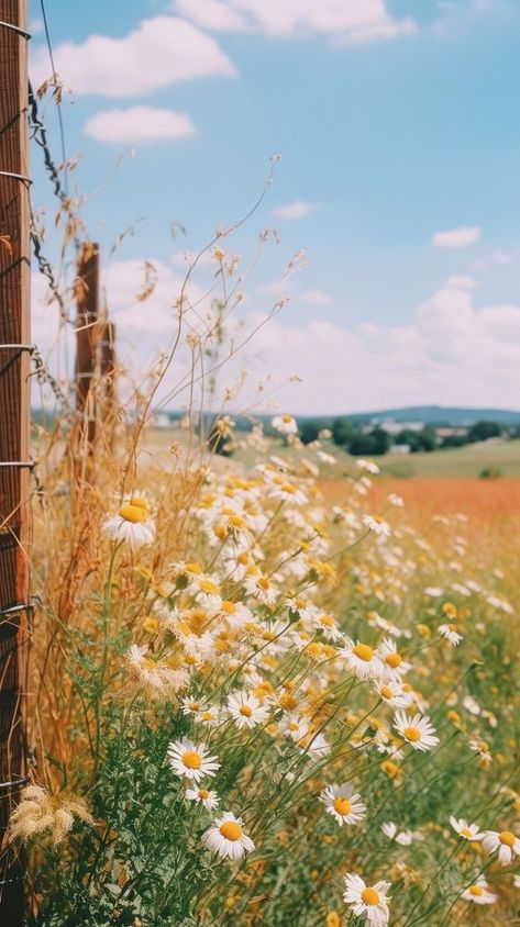 Summer wallpaper countryside grassland outdoors. | premium image by rawpixel.com Summer Country Aesthetic Wallpaper, Pastel Country Aesthetic, Country Side Aesthetic Wallpaper, Summer Country Wallpaper, Camping Wallpaper Aesthetic, Western Summer Wallpaper, Country Summer Wallpaper, Vintage Summer Aesthetic Wallpaper, Garden Background Aesthetic