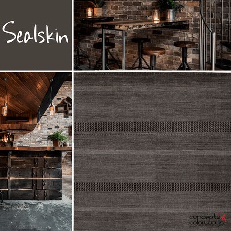 sherwin williams sealskin, interior color trends 2017, dark bronze, dark brown, warm black, brownish-black, color trends 2017, color for interiors Sherwin Williams Sealskin Exterior, Sealskin Sherwin Williams Exterior, Interior Paint Inspiration, Sealskin Sherwin Williams, Sherwin Williams Sealskin, Build Bar, Shed Conversion Ideas, Tree Forts, Color Trends 2017