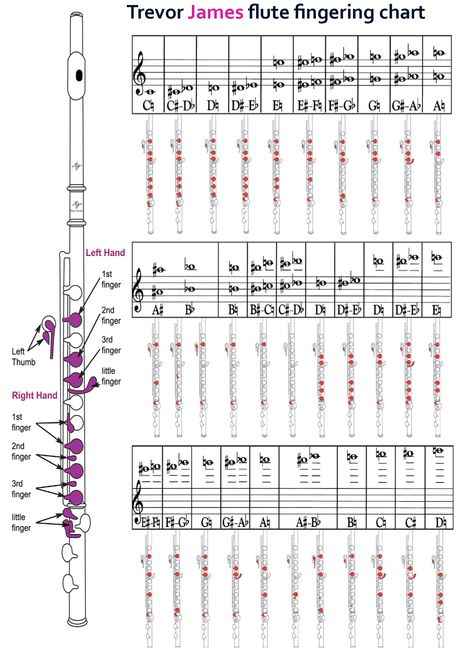 Flute Chords Chart, Flute Note Chart, Flute Notes For Beginners, Flute Fingering Chart, Flute Notes, Rhythm Worksheets, Native American Flute Music, Compound Words Worksheets, Flute Lessons