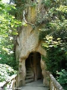 House built inside the tree trunk - so very Elvish France Photos, Fairy Houses, Beautiful Tree, A Tree, Secret Garden, Tree House, Fairy Garden, Beautiful Places, Entrance