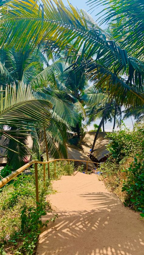 Beachy Wall Collage, Palolem Beach, Collage Pics, Goa, Wall Collage, Plant Leaves, Collage, Plants, Wall