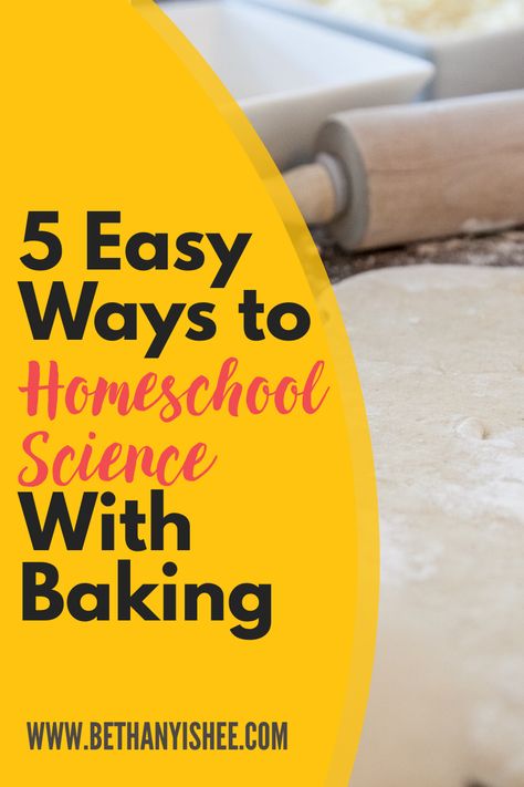 Homeschool Science Lessons, Homeschool Science Experiments, Human Body Projects, Stem Activities Preschool, Homeschool Science Curriculum, Science For Toddlers, Baking Science, Science Topics, General Ideas