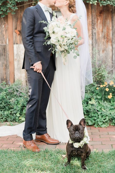 French Bulldog Wedding, Puppy Wedding, Pastel Garden, Garden Inspired Wedding, Leesburg Virginia, Photos With Dog, Bulldog Francese, Wedding Pets, French Bulldog Puppy