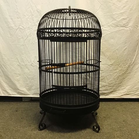 This beautiful wrought iron birdcage could be for feathered friends OR foliage friends! Or you could go off the rails and create fantastical decor ✨ If you do option 3, send us pics! Vintage Black Wrought Iron Bird Cage (22”W x 22”D x 38”H) Item Number: 10835-5 $85 Love it? Don’t miss out! You can purchase this item on our website (link in bio). Pro Tip: use the Item Number listed above to search for this exact product. Or come by our store location Thursday through Monday at 401 Elmira... Iron Bird Cage, Pics Vintage, Website Link, Bird Cage, Wrought Iron, Item Number, Vintage Black, Canning, Quick Saves